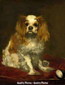 King Charles Spaniel 8.5x11" Photo Print Edouard Manet Fine Art Dog Painting USA - Picture 1 of 1
