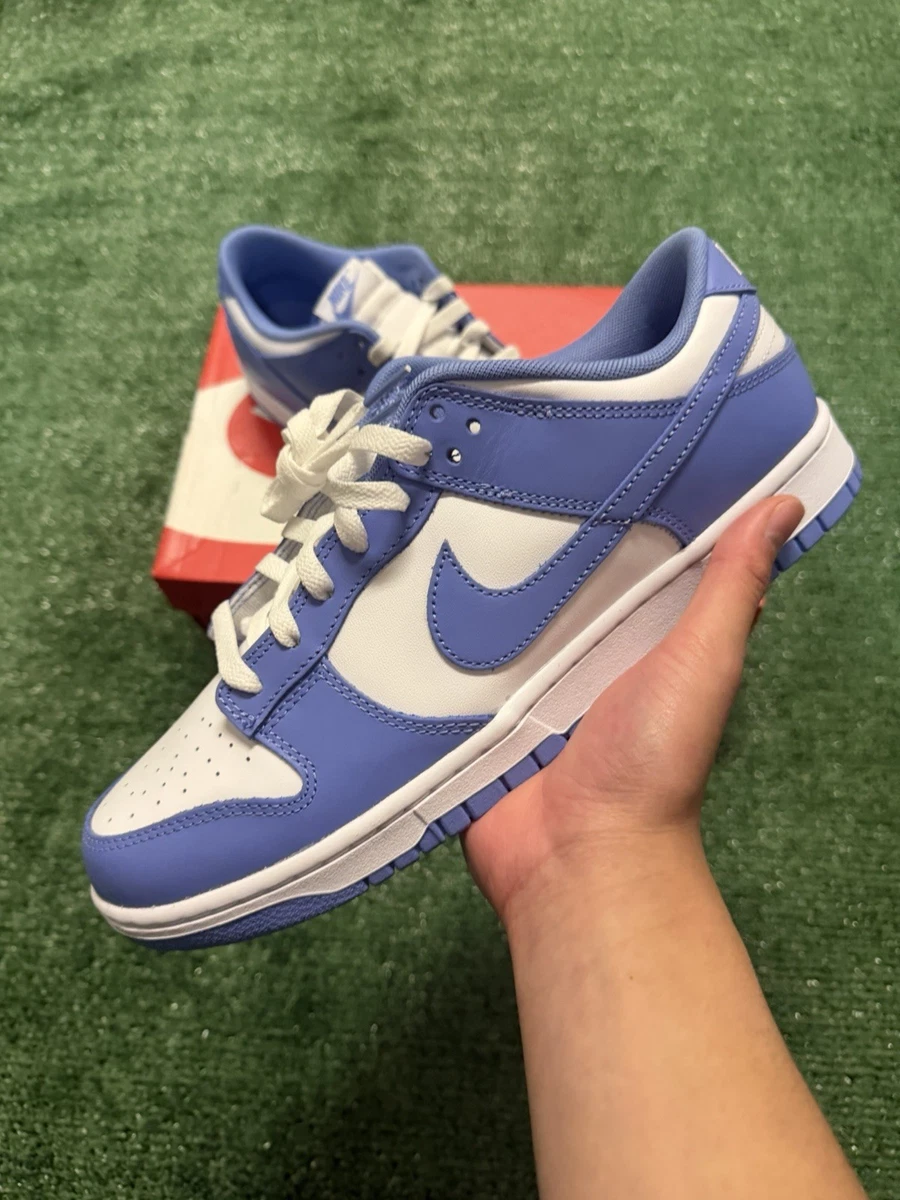 Nike Dunk Low Polar Blue | eBay