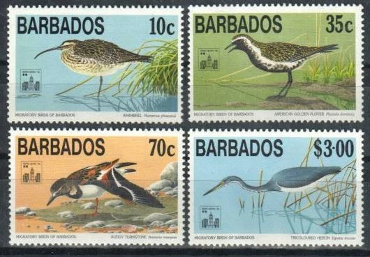巴巴多斯邮票 861 - 864 - 迁徙鸟类 — 第 1/1 张图片