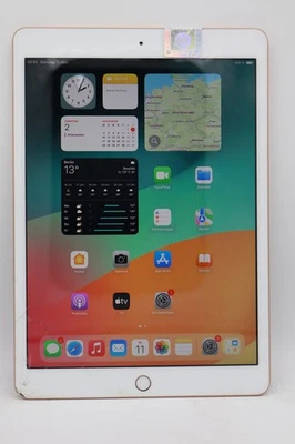 Apple iPad 10,2 7.Gen 2019 128GB Wi-Fi Rosa Displayschaden #5954 - Bild 1 von 4