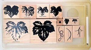 Stampin' Up! Definitely Decorative Fine Vine Stamp Set, Set of 12 #14a - Picture 1 of 2