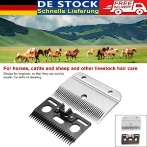 DEU Schneidkopf Scher Messerkopf Messer Für Wolseley Schermaschine Pferdeschur - Bild 1 von 12