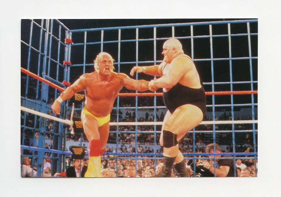 #TN07631 HULK HOGAN VS. KING KONG BUNDY 1999 WWF Card - Image 1 of 1
