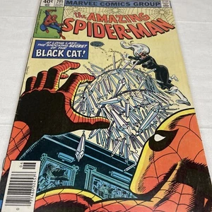 Amazing Spider-Man #205 QUIOSCO (1980) Milgrom Black Cat Cubierta Grado Medio - Imagen 1 de 12