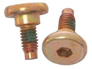 For 1977-1979 Ford LTD II Caliper Bolt Kit Front Raybestos 94924HV 1978 R-Line - Picture 1 of 2
