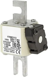 NEW Semiconductor Fuse  170M3116 690V / 250A 80mm fixing Type K indicator - Picture 1 of 1
