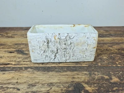 Birch Bark Texture Cement Planter – Rustic White Rectangular Pot 8.5" - Image 1 of 4