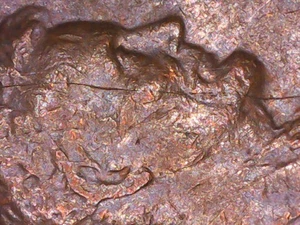 Rare 1977 D Penny-Die Crack  - Picture 1 of 17