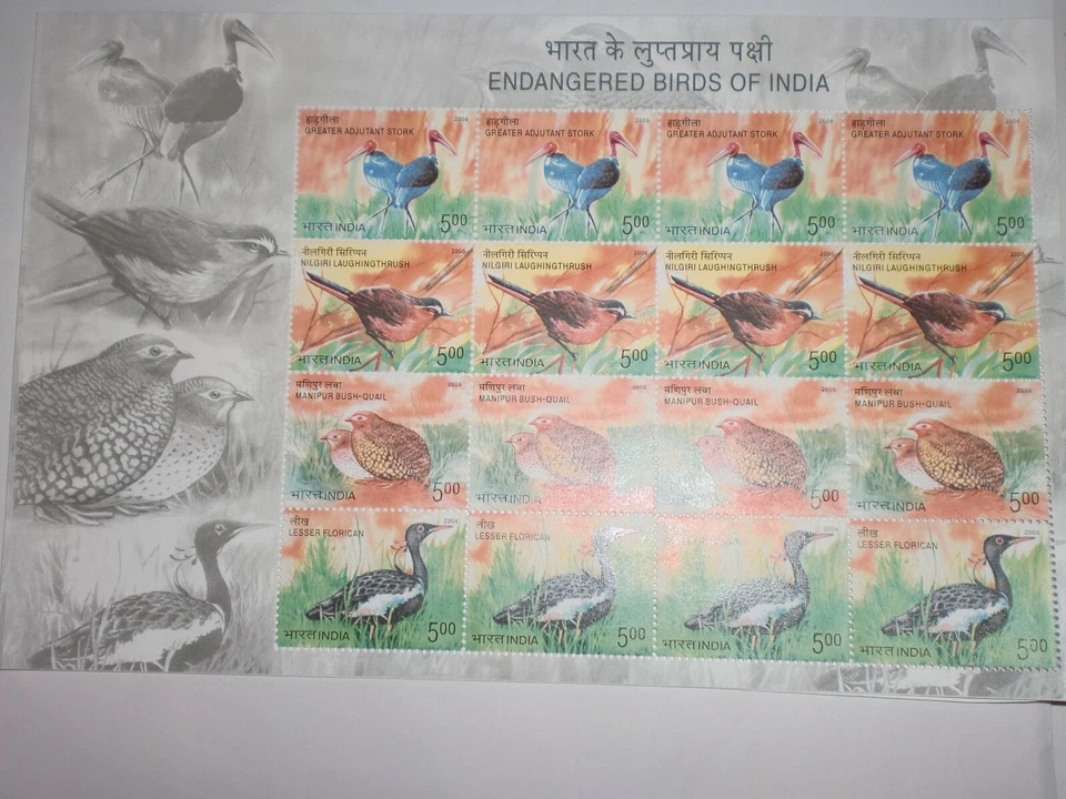 SELLOS DE LA INDIA - HOJA COMPLETA - 16 SELLOS DE GOMA - "AVES EN PELIGRO DE EXTINCIÓN DE LA INDIA" - 2006 Foto 1 de 4