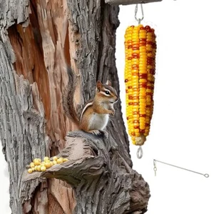 Squirrel Feeder for Outside Hanging Corn Cobs Holder for Squirrels Chipmunk 1 - Picture 1 of 8