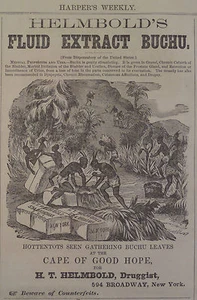 HOTTENTOTS CAPE OF GOOD HOPE AFRICAN AMERICAN HARPER'S WEEKLY 1870 - Picture 1 of 1