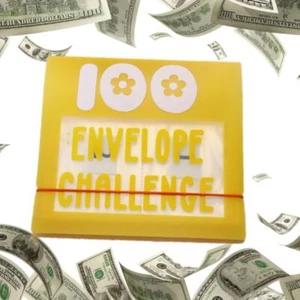 100 Envelope Challenge Binder, Saving Challenge Box Kit Yellow - Picture 1 of 7