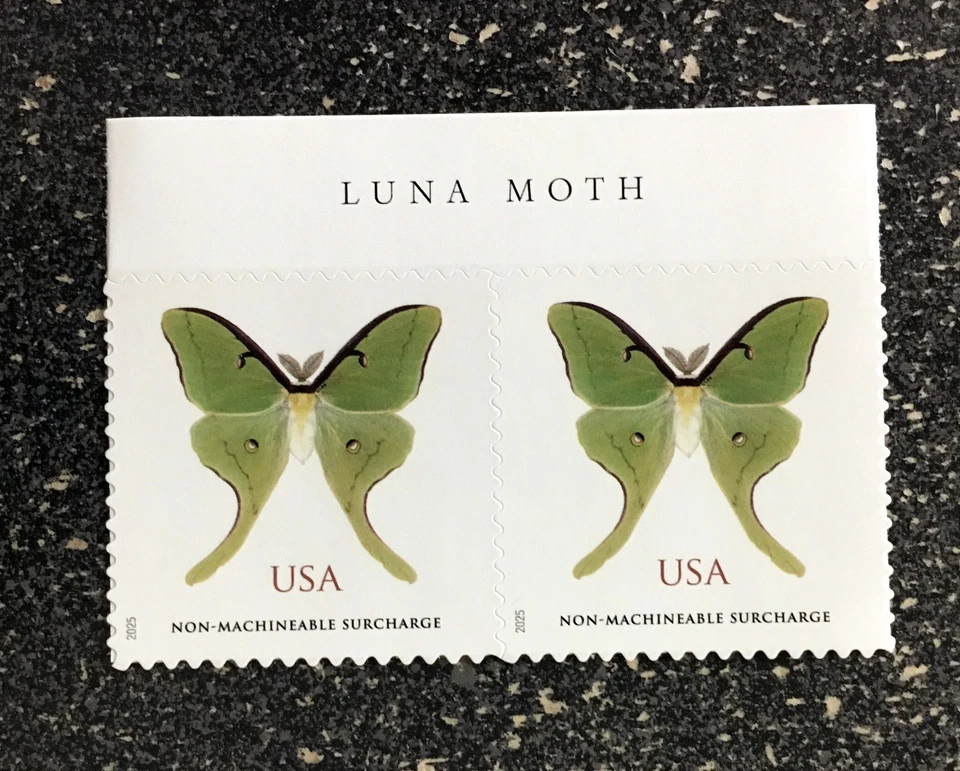 2025USA Non Machineable Rate Luna Moth Butterfly - Header Strip of 2  Mint - Image 1 of 1