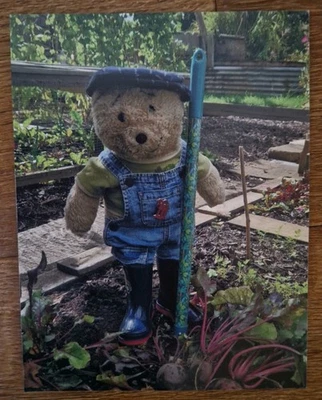 Horace the Alresford Bear Fridge Magnet (Allotment Beetroot) - Image 1 of 2