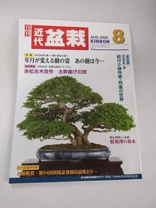 Kinfai Bonsai KINBON Aug 2020 - Picture 1 of 5