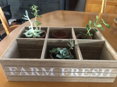 FARMHOUSE “FARM FRESH” 6 Compartment Caddy Wooden Crate 13”X 9”X 3.5” - Image 1 of 3