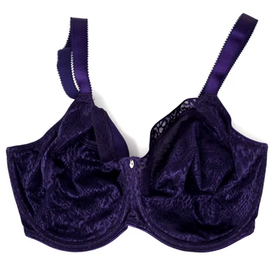 Sujetador Fantasie Envisage 34J FL6911PUV copa completa soporte lateral púrpura nuevo sin etiquetas Foto 1 de 4