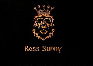Personalised Name Boss Lion Embroidered towels  Gift Christmas Birthday present