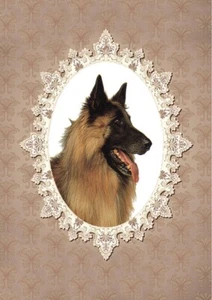 BELGIAN SHEPHERD TERVUREN DOG HEAD STUDY LOVELY GREETINGS NOTE CARD - Picture 1 of 1
