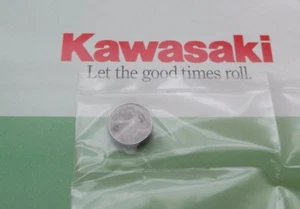 Genuine Kawasaki KLX300 ZZ-R600 EJ650 Valve Shim t= 3.25mm 92180-1044 - Picture 1 of 4