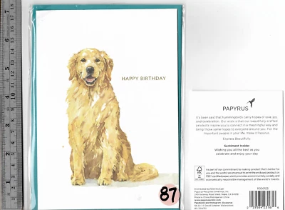 (C) - 1 BIRTHDAY PAPYRUS. BURGOYNE & HALLMARK Card with Envelope
