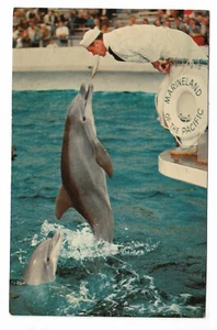 VTG Postcard Marineland of the Pacific - Southern California - Picture 1 of 2