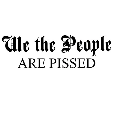 Any Color We The People ARE PISSED Decal Sticker TRUMP Constitution USA AMERICA - Image 1 of 2