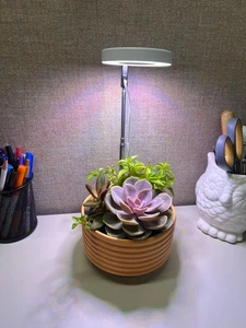 Adjustable Grow Light with Timer Soil Stake LED Lamp for Indoor House Plants - Picture 1 of 17