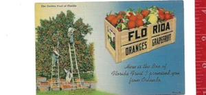 vintage Linen Here is the box of Florida Fruit I promised you from Orlando  - Picture 1 of 1