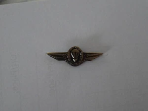 (C7) Bundeswehr Fallschirmjäger Pin bronze Springerabzeichen Fallschirmspringer - Picture 1 of 2