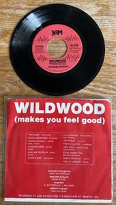 Wildwood ( Makes You Feel Good) Studio One Band 45rpm RARE Soul/Funk (1979)  - Picture 1 of 6