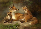 CHOP907 animaux trois renards peints à la main peinture à l'huile art sur toile