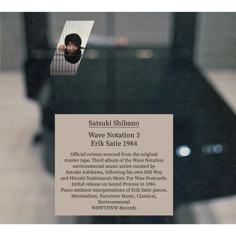 WRWTFWW065 Satsuki Shibano Wave Notation 3: Erik Satie 1984 Double LP Vinyl NEW Foto 1 de 1