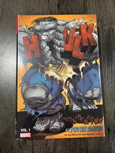 Marvel Comics Incredible Hulk Peter David Omnibus Vol 1 Nuevo Sellado Raro Fuera de Uso Difícil de Encontrar - Imagen 1 de 6