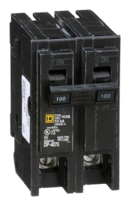 Square D HomeLine 100 amps Surge 2-Pole Circuit Breaker - Picture 1 of 4