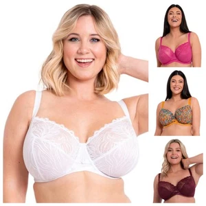 Curvy Kate Lace Daze Bralette Lace Comfy V Neck Womens Lingerie CK044110 - Picture 1 of 58