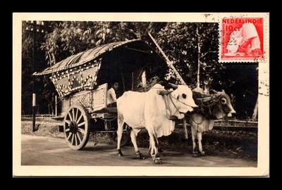 Estampillas Dr Jim Indias Holandesas Holandesas Estampadas 10ct Foto Real Postal Foto 1 de 2