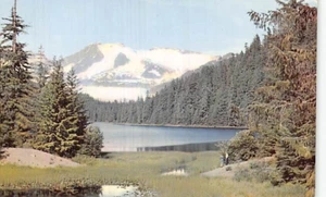 Postkarte AK: Mendenhall Glacier, Alaska, Pacific Northern Airlines - Bild 1 von 2