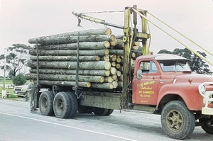K&G Wright Logging Truck, Mt. Gambier South Australia: 70er Jahre 35mm Dia - Bild 1 von 4