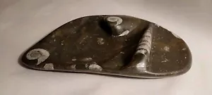 Schwerer Inuit Eskimo Marine ozeantischer geschnitzter Stein Teller Aschenbecher 9" erstaunlicher Zustand - Bild 1 von 17
