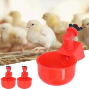 Automatic Chicken Water Cup Red Plastic Drinking Bowl for Poultry Pigeon Bird