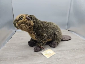 Webkinz Signature Plush Beaver  Ganz 12" Stuffed Toy - Picture 1 of 14