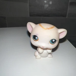 Littlest Pet Shop LPS Topo Rosa Chiaro #429 Glitter Halo Occhi Marroni (B1) - Foto 1 di 4