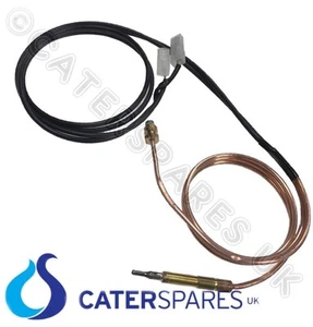 ELECTROLUX 0C3162 ZANUSSI FRIGGITRICE A GAS TAGLIO TERMOCOPPIA INTERRUTTORE FILI C/W  - Foto 1 di 1