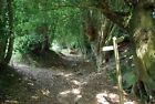 Photo 6X4 Footpath Diversion From Ancient Way Turners Hill At This Point  C2010