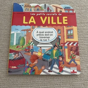 Les Petits Secrets de La Ville Didierjean Beaumont NEW - Picture 1 of 2