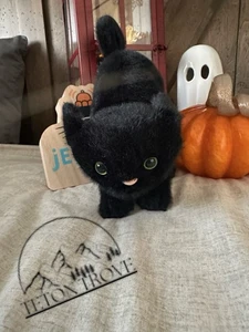 100% Authentic ❤️Jellycat Spookipaws Cat Plush w/Dust Bag Halloween Black Cat - Picture 1 of 8