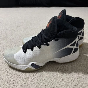 Nike Air Jordan Men’s Size 8 30 XXX Basketball Shoes Wolf Gray White 811006-101 - Picture 1 of 9