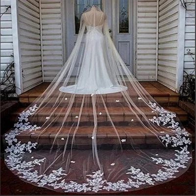 Apliques de encaje velos de boda longitud catedral con peine velos de novia de 1 nivel Foto 1 de 4