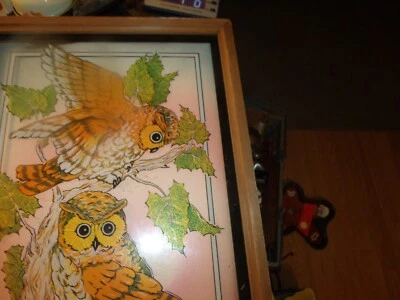 Quadro de parede 2 corujas em uma árvore arte vidro impressão madeira vidro moldura - Imagem 1 de 4